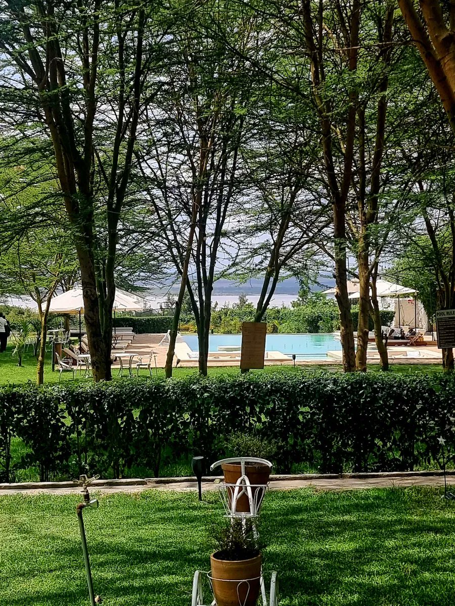 LakeElementaita's tweet photo. This wellness retreat wasn’t about doing more. It was about feeling more.
We felt the breath slow. 
The body softened.
The heart jumped with joy.
3 days of yoga, stillness, and quiet connection.
It was a gentle return home to ourselves 💫

This experience magical!

 🙏🏾🤩 https://t.co/Y7TErcA8E8