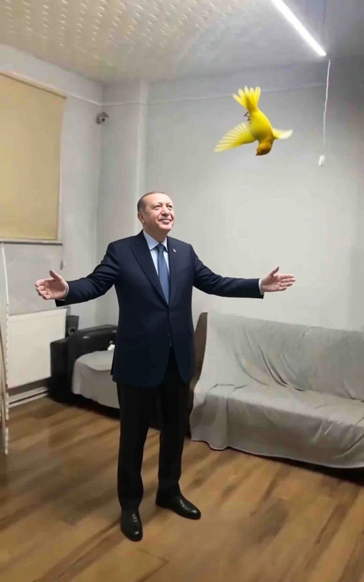 yalc (@yalc362) on Twitter photo 