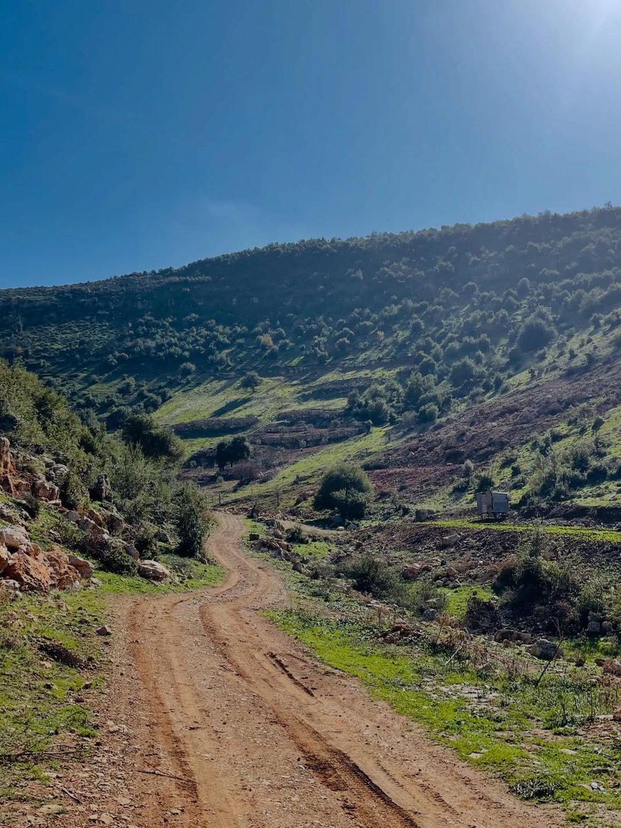 Visit Jordan tweet media