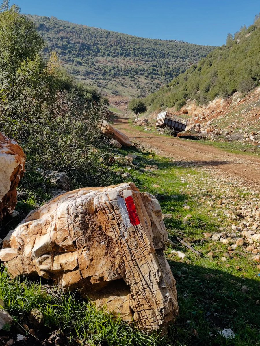 Visit Jordan tweet media