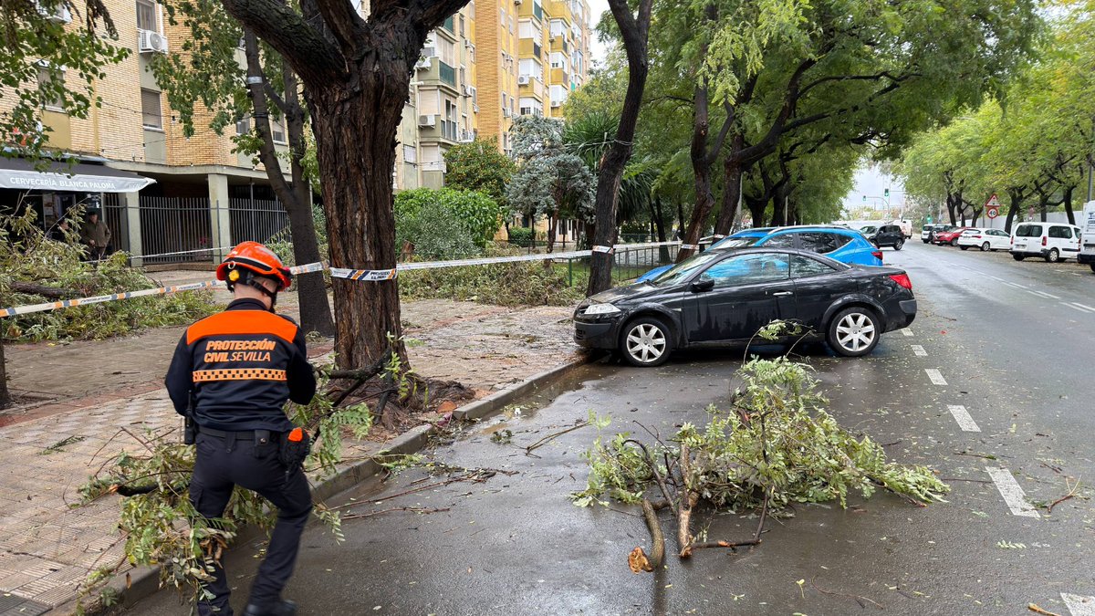 📣 Por la alerta de la #borrascaLeonardo, todos los efectivos del Ayuntamiento de Sevilla están  trabajando para la protección y seguridad de todos nuestros  vecinos.
📍Calle Aprendices, retirada de rama con peligro de caída.