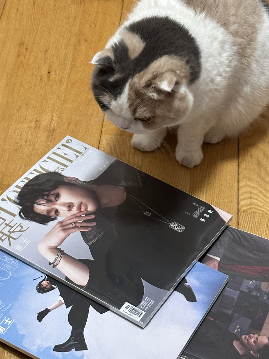 mareepxback's tweet image. 