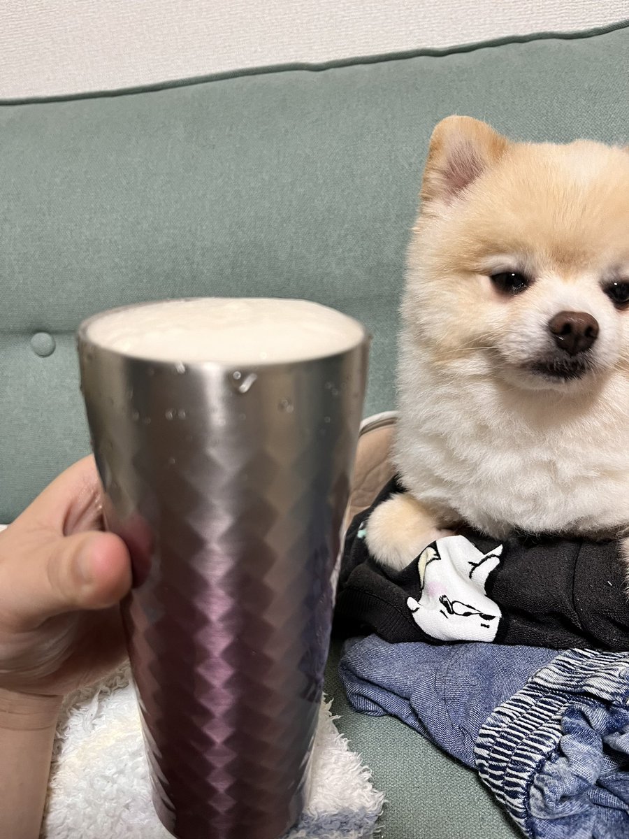 ぽんすけ大先生 (@yuyuyuyumee) / Posts / X