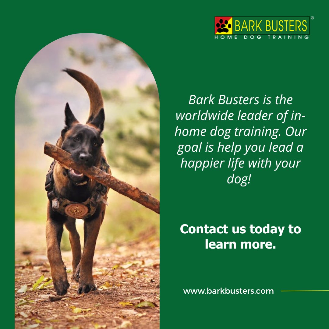 barkthevalley's tweet image. 🐾 Your dog deserves training that lasts—not quick fixes.

👉 barkbusters.com/dog-training/s…

#LongTermResults #DogTrainingThatWorks #BarkBusters #SanFernandoValleyDogs