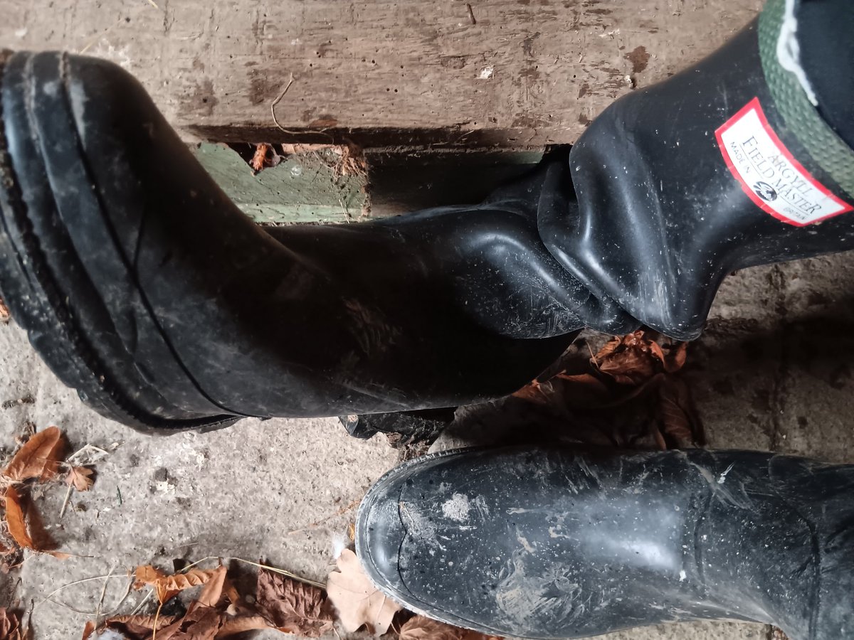 HookedHooked1's tweet photo. Wood chopping in #gateswellies #argyllwellies #rubberwellies #fieldmaster https://t.co/xRYrrBK29q