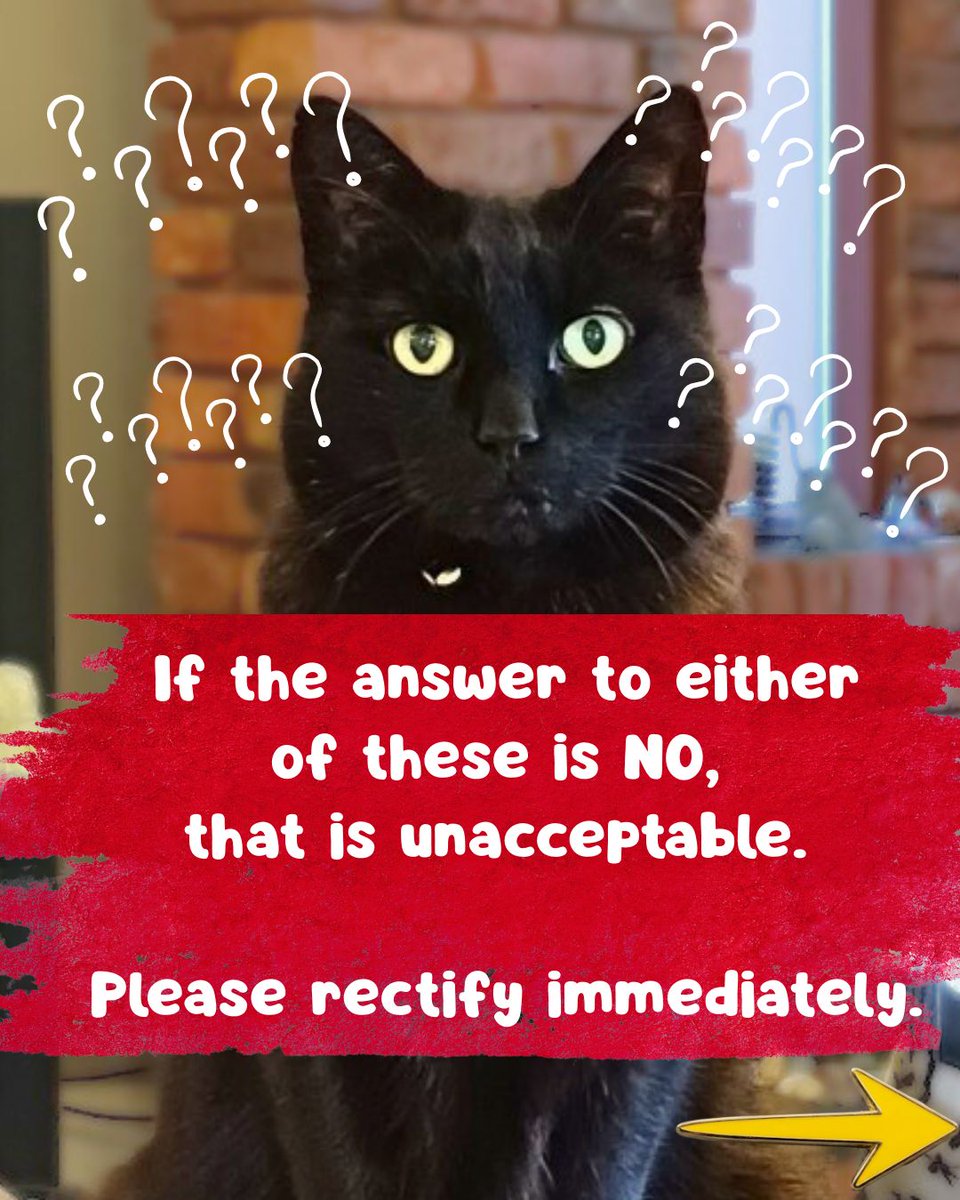 Lisa J Allen tweet media