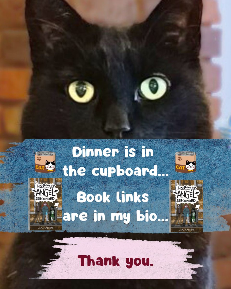 Lisa J Allen tweet media