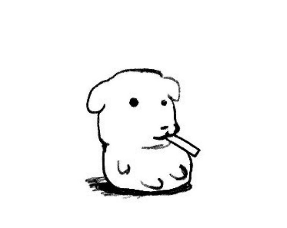 차들박이 tweet media