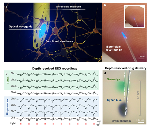 Wykes_Lab tweet media