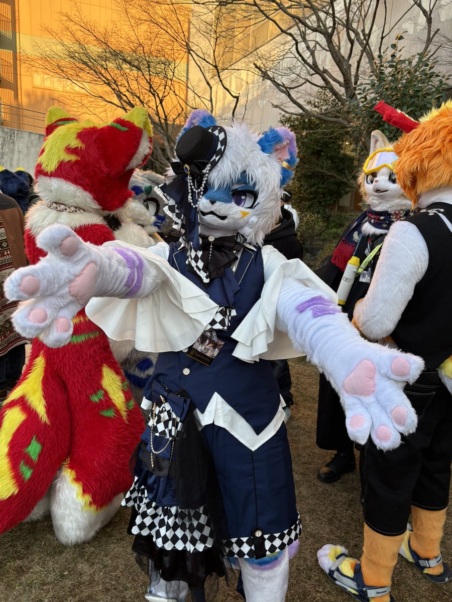 可愛いくて衣装が素敵です✨
#JMoF2026