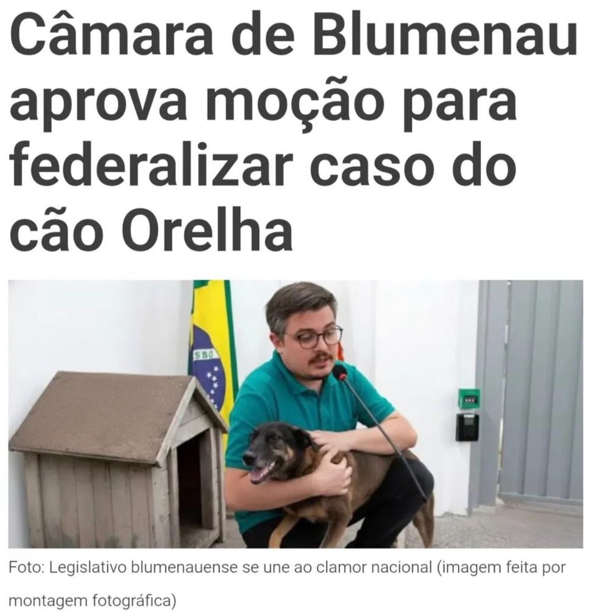 kaarolzx's tweet image. A Câmara de Blumenau aprovou uma moção pedindo que o caso do cão Orelha vá para a esfera federal.

Isso significa que até o Legislativo local reconhece que há falhas, gravidade e necessidade de investigação independente.

🔔 Comentem #CPIDOORELHA e FEDERALIZAÇÃO DO CASO ORELHA