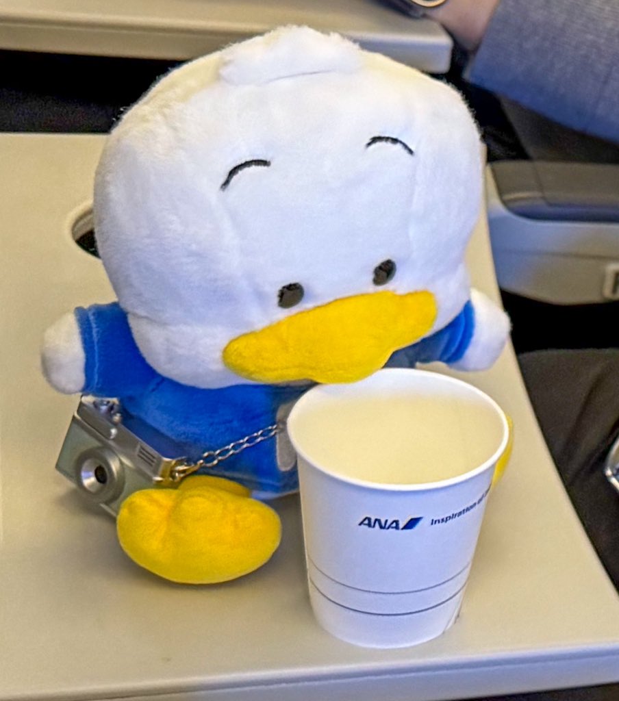 みちゅん𝕏 (@michufleur) / Posts / X