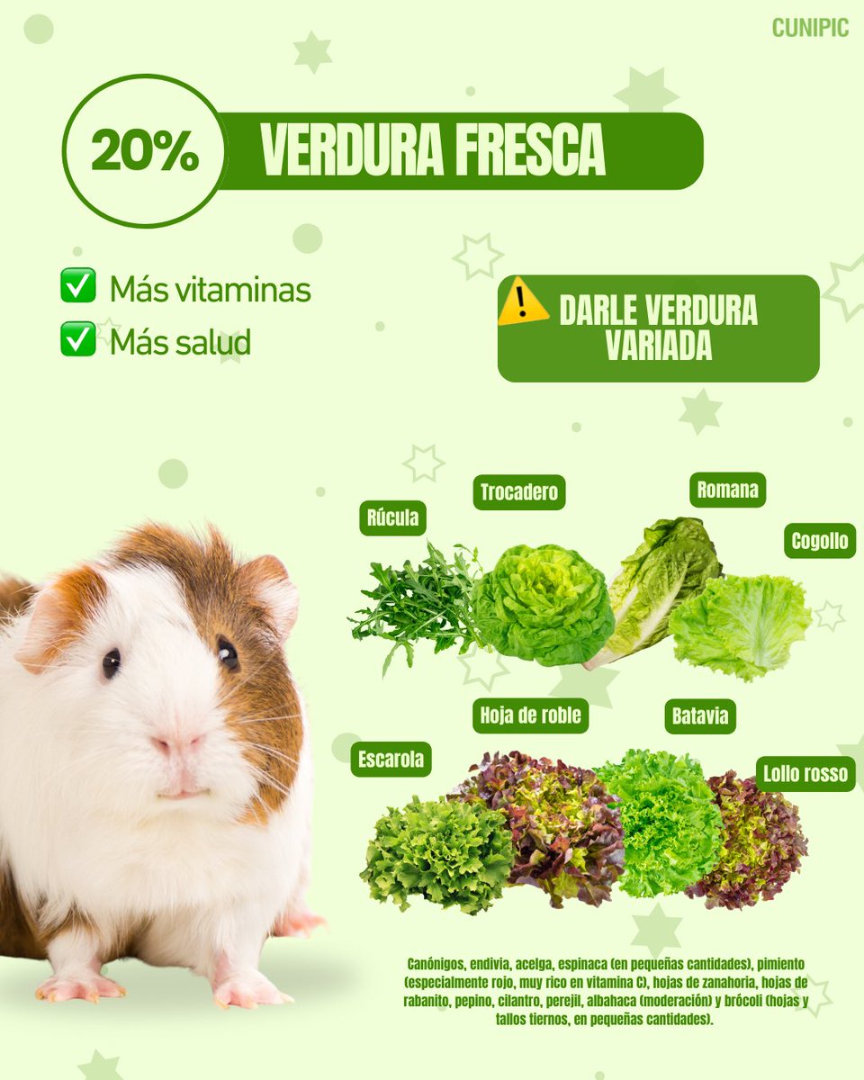CUNIPIC l Alimentación natural para tu mascota tweet media