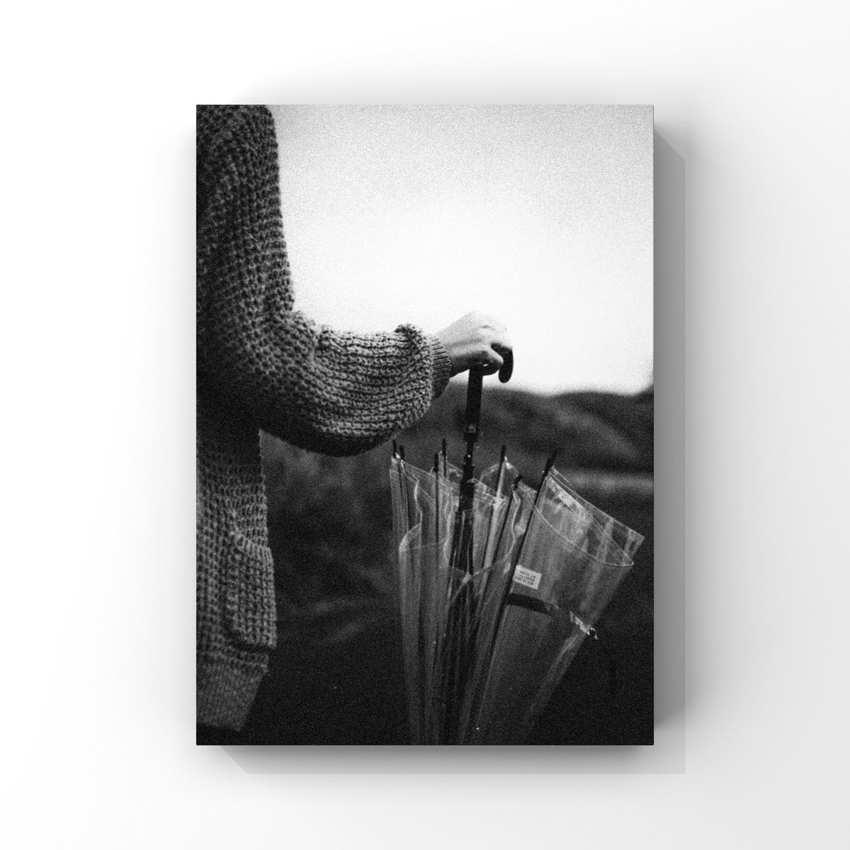 イソ｜#ISO1638400 (@iso1638400) / Posts / X