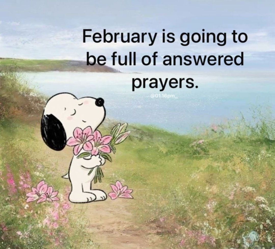 iridescelily's tweet image. 