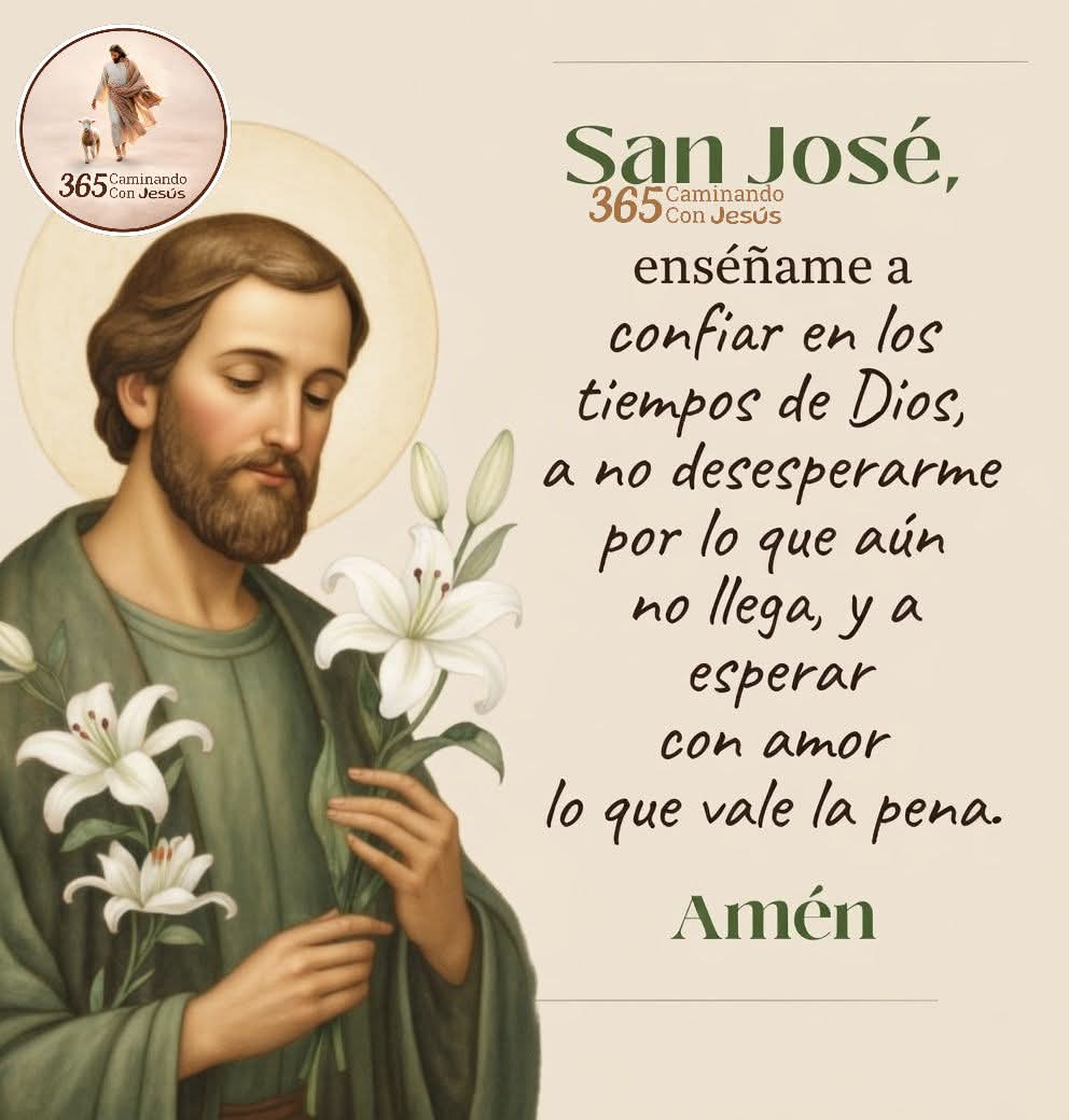 JuntosRecemos's tweet photo. https://t.co/OItPP0KwAR