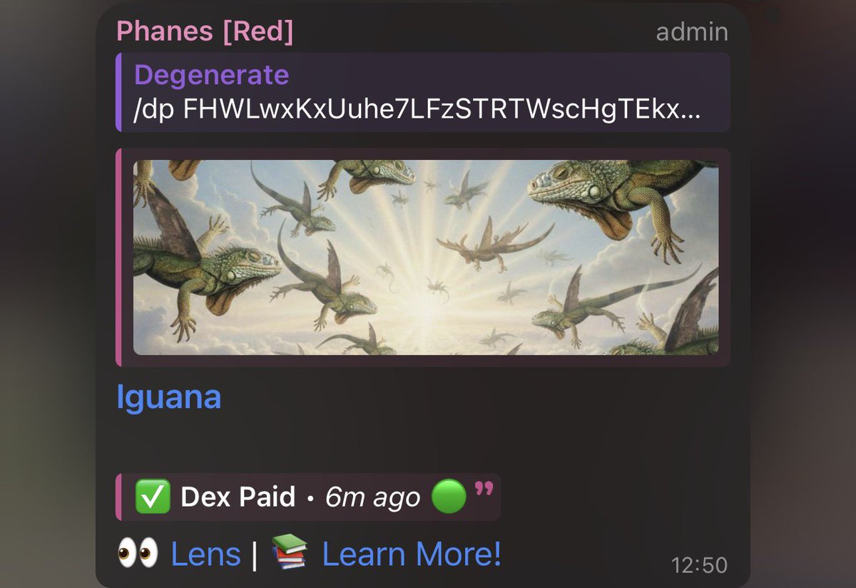 huntersznss's tweet photo. This is the next big runner 

@Ga__ke @LexaproTrader would love this 
$iguana 
FHWLwxKxUuhe7LFzSTRTWscHgTEkxQvwa3yLd9mKpump https://t.co/QVR3a5rfBt