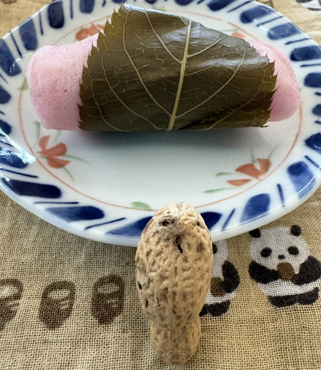 <a href="/takeshima_staff/">竹島宏 Hiroshi Takeshima【公式】</a> 🌹薔薇・白🌹
花言葉は
「深い尊敬」

2月4日立春
ビートルズの日 ♪
真っ先に思い浮かぶ曲といえば、
Yes terday🎵
昨日の生配信の余韻冷めやらず❣️
福男、輝いていました💕
📷　桜もち🌸　春が待ち遠しいですね💕
#小夜啼鳥の片思い #花言葉 #花便り