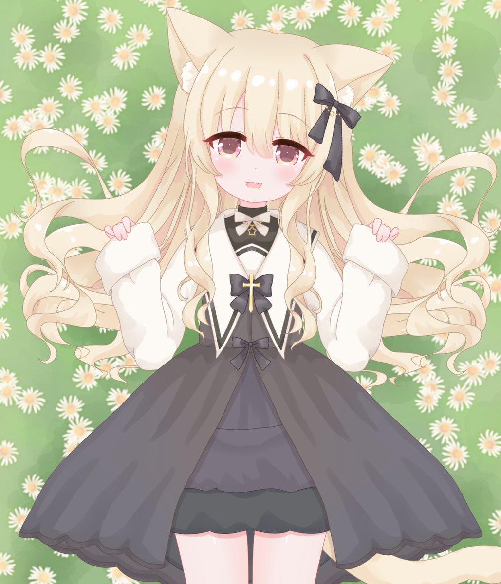 Se... Seiso nun cat vtuber
#mimyart