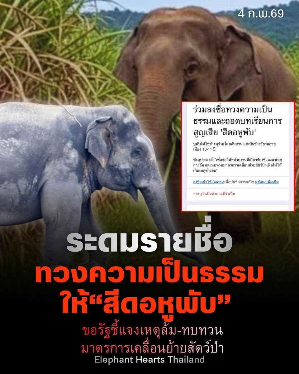 ตอนนี้ทางเพจ Elephant Hearts Thailand  เรียกร้องความเป็นธรรมให้จากกรณีการสูญเสีย “#สีดอหูพับ” อยู่นะคะ ใครสะดวกลงชื่อได้นะ

ตามข่าวที่สื่อออกมาบอกว่าน้องอายุ 15-20 ปี แต่ความจริงแล้วจากทางเพจบอกน้องอายุเพียง 10-11 ปีเท่านั้น