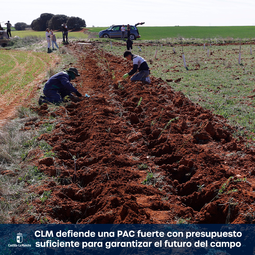 gobjccm's tweet photo. 🌱 #CLM defiende una #PAC fuerte, con presupuesto suficiente y con Pilar II y desarrollo rural para garantizar el futuro del campo.

💪 El desarrollo rural ha sido una herramienta clave para fijar población y generar oportunidades en la región.

ℹ️ https://t.co/uEYnRmN3jA https://t.co/eUwNbhFdhy