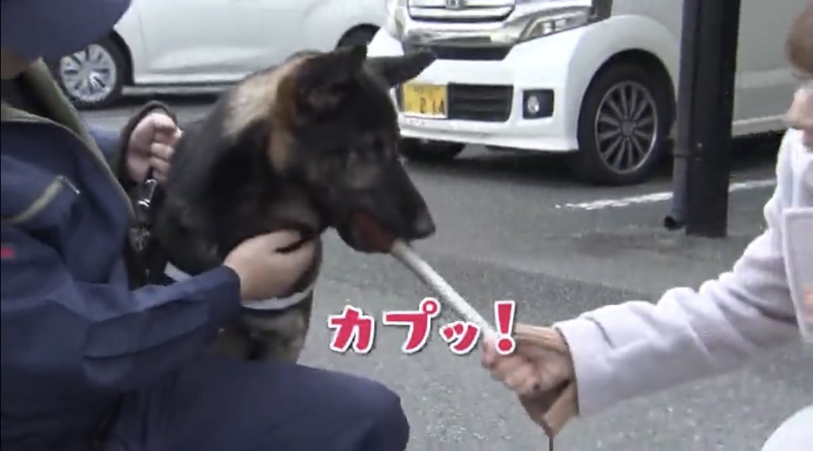 芋魔 (@539Zzz) / Posts / X