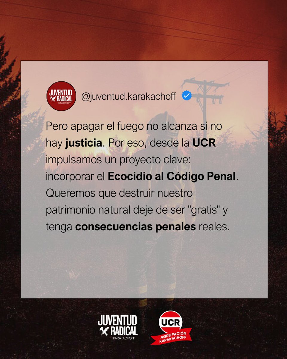 45.000 hectáreas tarde. Ese es el tiempo de Nación. El nuestro es el de la solidaridad federal, los brigadistas en el terreno y el proyecto de Ecocidio al Código Penal.