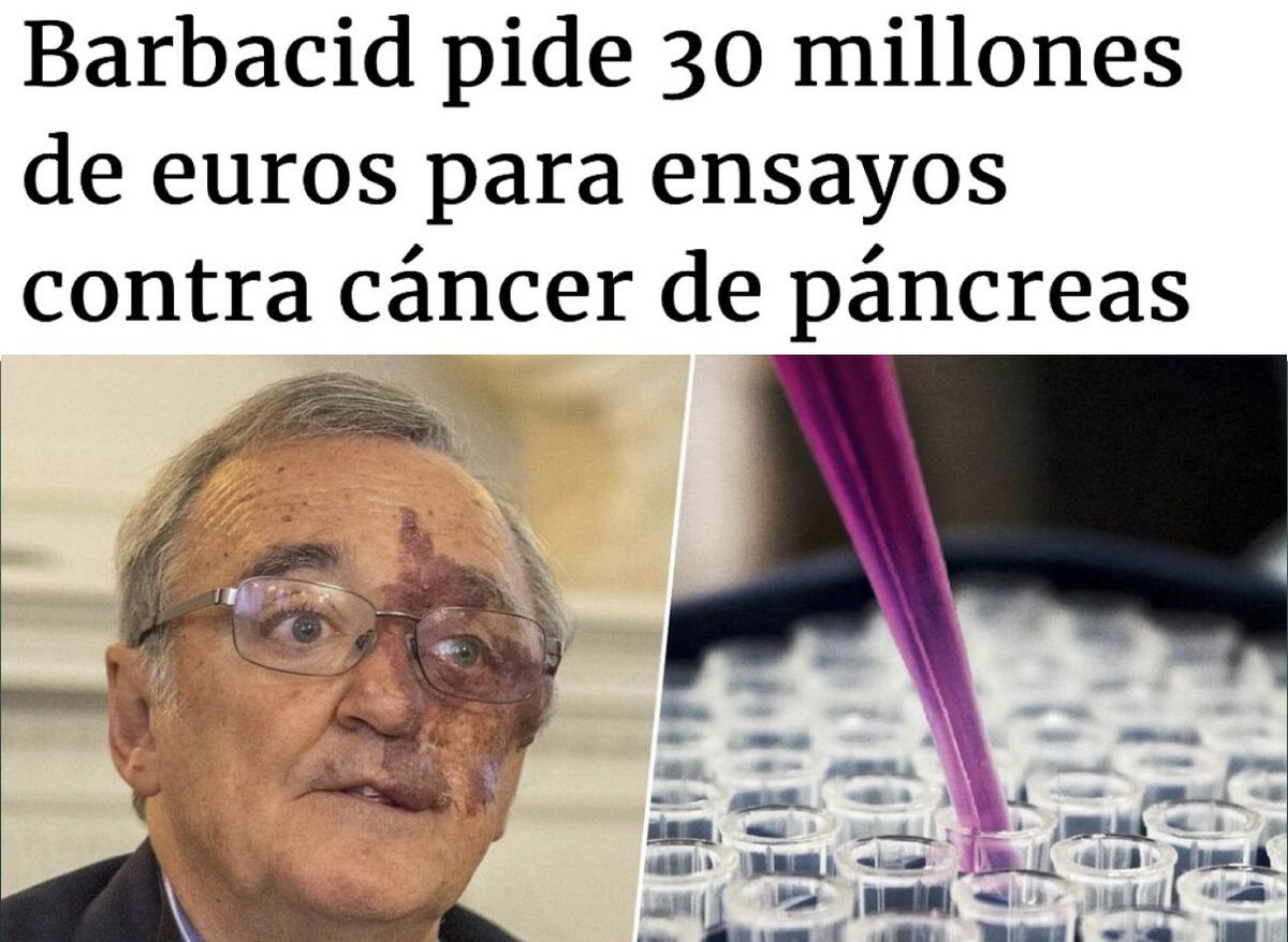 Andrea tweet media
