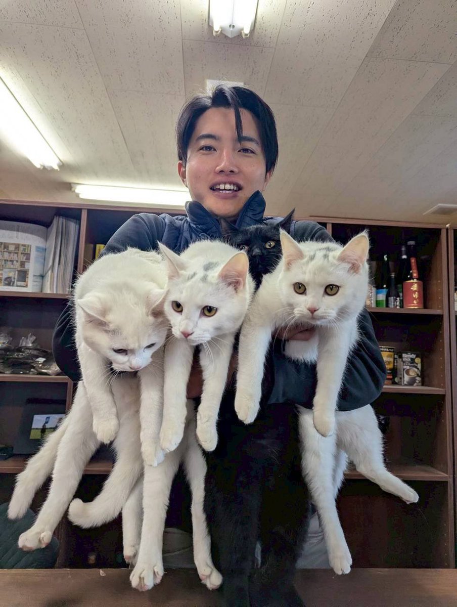 horse_value's tweet image. 最初3匹かと思ったら4匹抱っこしてました笑

左からハク、寛太、黒木瞳、ラムです！