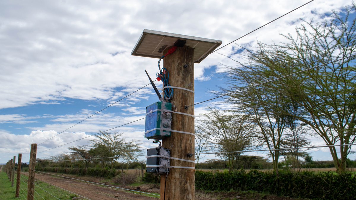 OlPejeta's tweet photo. Then, fence monitoring meant long patrols across remote terrain, often finding faults after the damage was already done.

Now, our solar-powered IoT sensors watch every kilometre of the perimeter, detecting cuts, shorts, power loss and tampering in real time.

Thread 👇 https://t.co/5nR0AMJusu