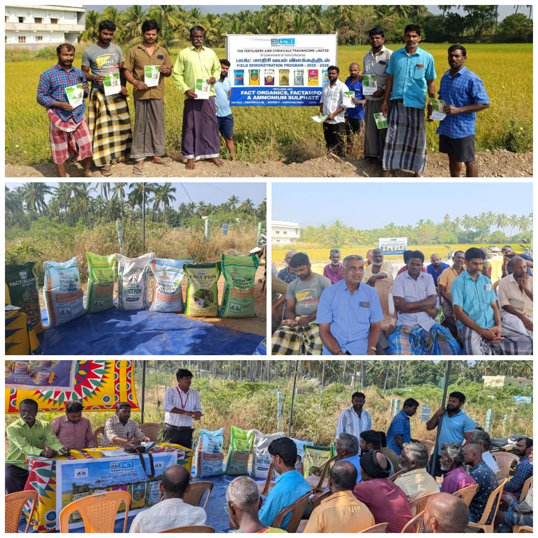 fact_kochi's tweet photo. Under the #FEPProgramme, a Field Day was held at a paddy demo plot in Nagercoil,Kanniyakumari, with Agriculture Officers, FACT team & 40 farmers. Sessions focused on soil health, organic manures & balanced fertilisation, with positive feedback on FACT products. ๐พ
@fertmin_india https://t.co/LBsx7XCDxT