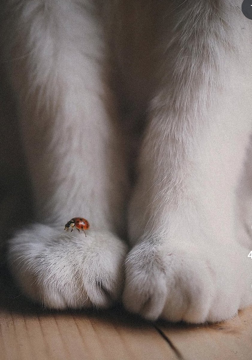 Gürültüye inat fısıltıyla gelsin iyilik; bugün hayata sadece bir tebessüm borçluyuz.
#günaydın
#çarşamba