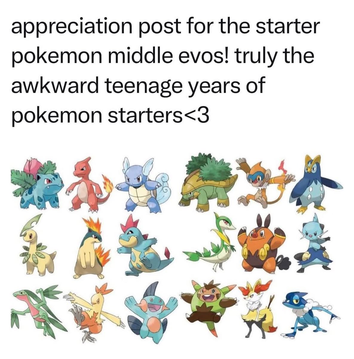 Starter Pokémon middle evos have a truly teenage vibes