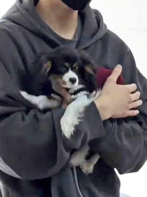 ppppukpui's tweet image. อร้ายยย แพทพาคุณหนูนิคมาเข้ากองด้วย
นิคเค่อวีนมาก 5555 มาครั้งแรก หูจะบินแน้วว 

Day 38 : 04.02.26

Patrick As DingWu
@patrick_pppat #แพทริค
#AMingDynastyAdventure
#明月录 #ติงอู #丁巫