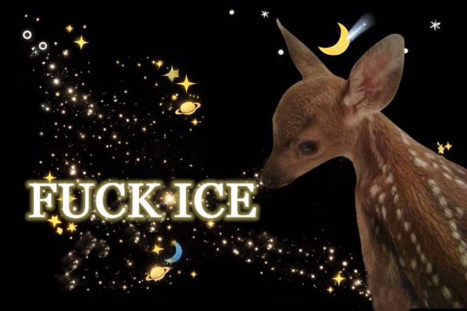 No_this_is_patricisha tweet media