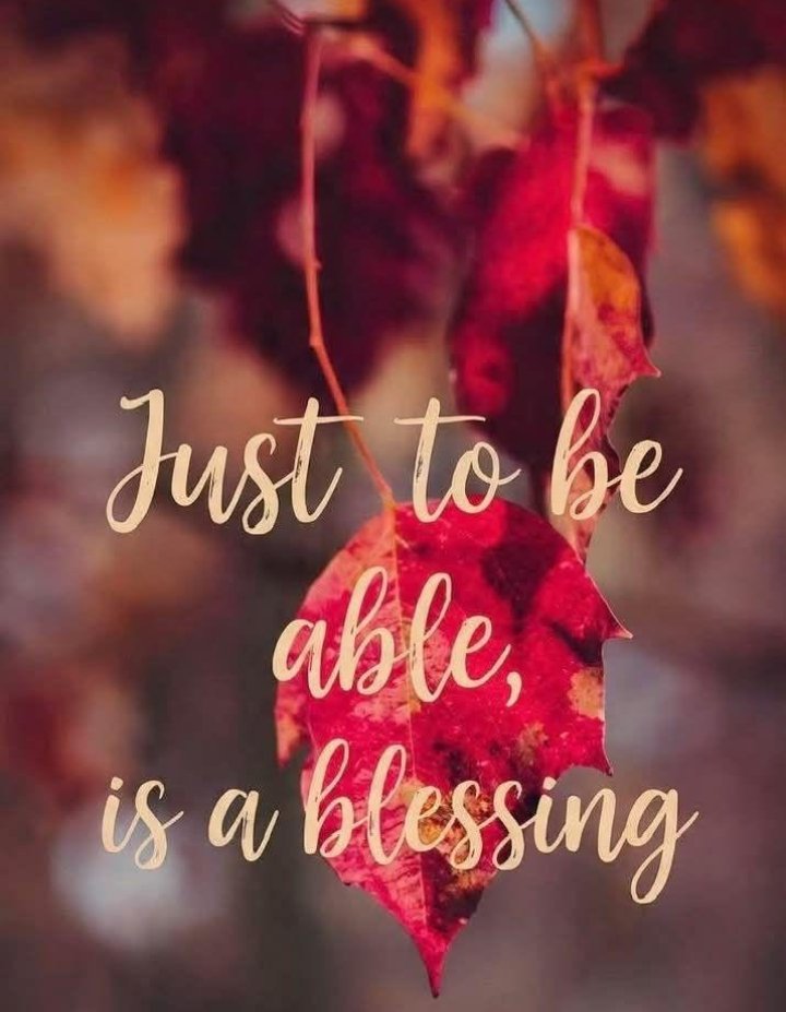 _MrLayi's tweet image. GM 👋

Reply, let's Connect ♉