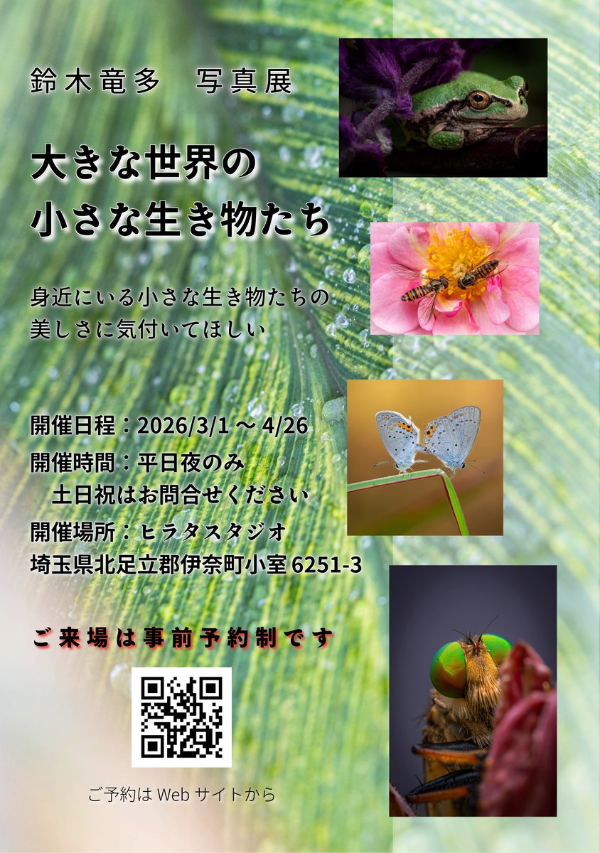 𝕣𝕪𝕦𝕥𝕒 RS Photographie tweet media