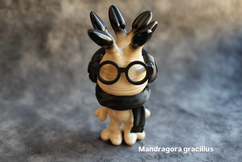 B-The-U🌱VAG3月中旬🌱 (@plantsBTheU) / Posts / X