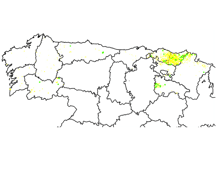 coniferas+ tweet media