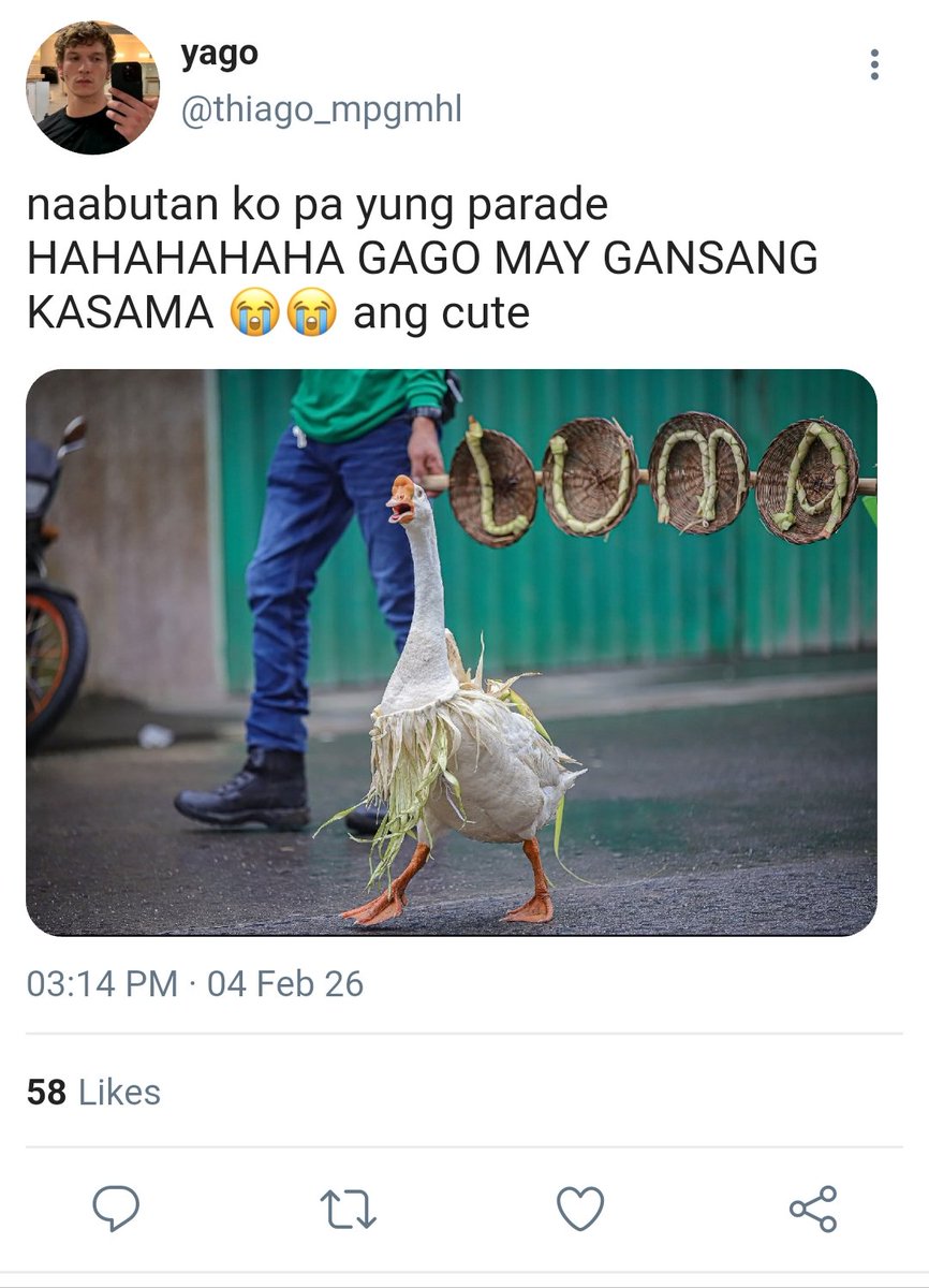 riyu tweet media