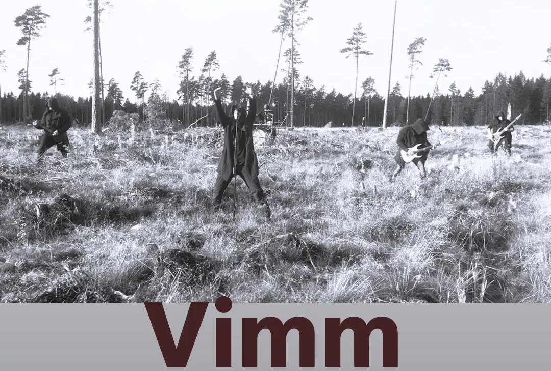 lucostaa2016's tweet image. #vimm #Estônia #2021s #blackmetal