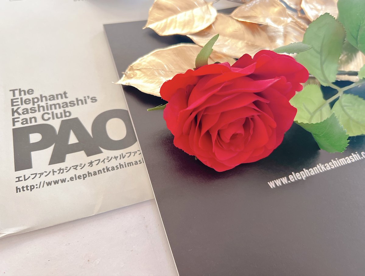 PAO #エレファントカシマシ #宮本浩次 PAO届きました❣️ ROCKな宮本