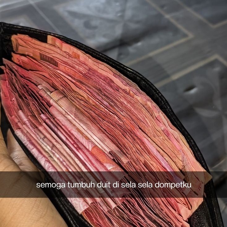 poconxg's tweet image. 