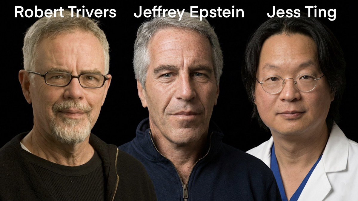 จากข้อมูลในเอกสารคดีของ Jeffrey Epstein ที่ทางกระทรวงยุติธรรมสหรัฐทยอยเปิดเผยออกมา พบว่า Epstein มีความหมกมุ่นกับเรื่องชีววิทยาของการข้ามเพศ หรือ Trans Biology เป็นอย่างมาก

โดยเขาไม่ได้แค่คุยเล่น แต่พุ่งเป้าเรื่องนี้ไปที่เรื่องยีน การผ่าตัด