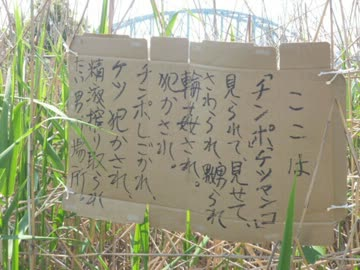 #エプスタイン文書だと思うもの