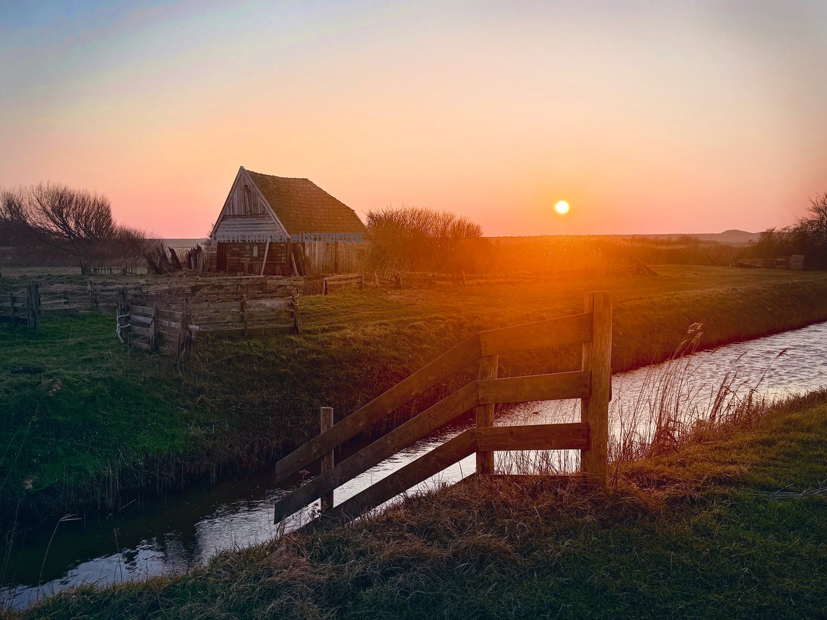 𝕃𝕚𝕤𝕖𝕥𝕥𝕖 𝕋𝕙𝕖𝕚𝕛𝕤𝕤𝕖𝕟 tweet media