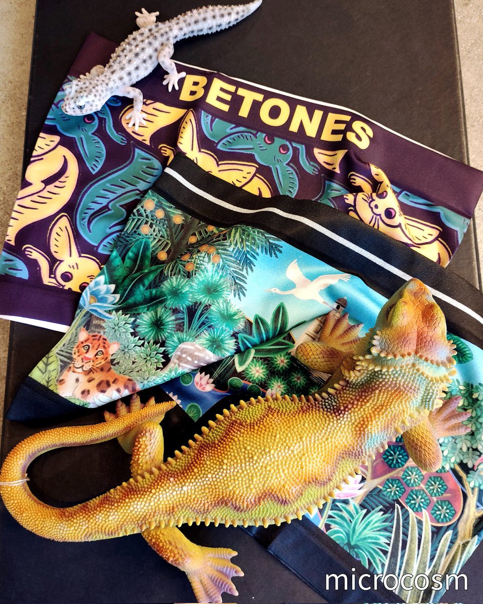 おすすめボクサーパンツ＆レオパオブジェ！🌿 #microcosmの服飾小物