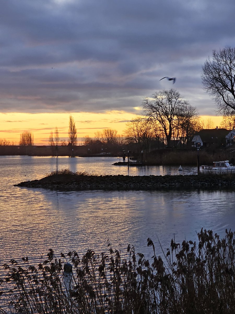 Motormiss's tweet image. Wat een cadeautje weer vanmorgen 🤩 Veel bewolking maar oh wat een kleurenfestijn werd dat!
Even openklappen, foto 1 en 2 zijn staand 👍🏻
#Andel #Altena #afgedamdemaas #zonsopgang #mooieluchten