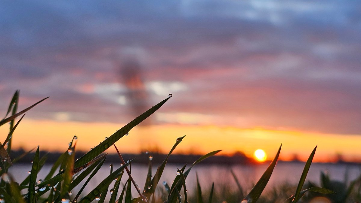 Motormiss's tweet image. Wat een cadeautje weer vanmorgen 🤩 Veel bewolking maar oh wat een kleurenfestijn werd dat!
Even openklappen, foto 1 en 2 zijn staand 👍🏻
#Andel #Altena #afgedamdemaas #zonsopgang #mooieluchten