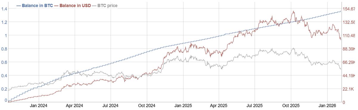 sunnydecree tweet media